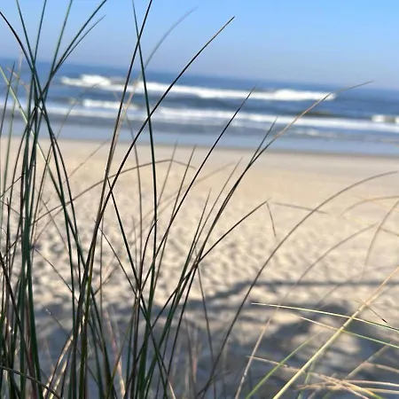 Gandara * Praia de Mira